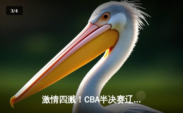 激情四溅！CBA半决赛辽粤大战G5：辽宁逆转广东晋级总决赛 - 3