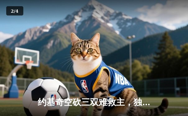 约基奇空砍三双难救主，独行侠东欧组合合砍62分逆转掘金 - 2